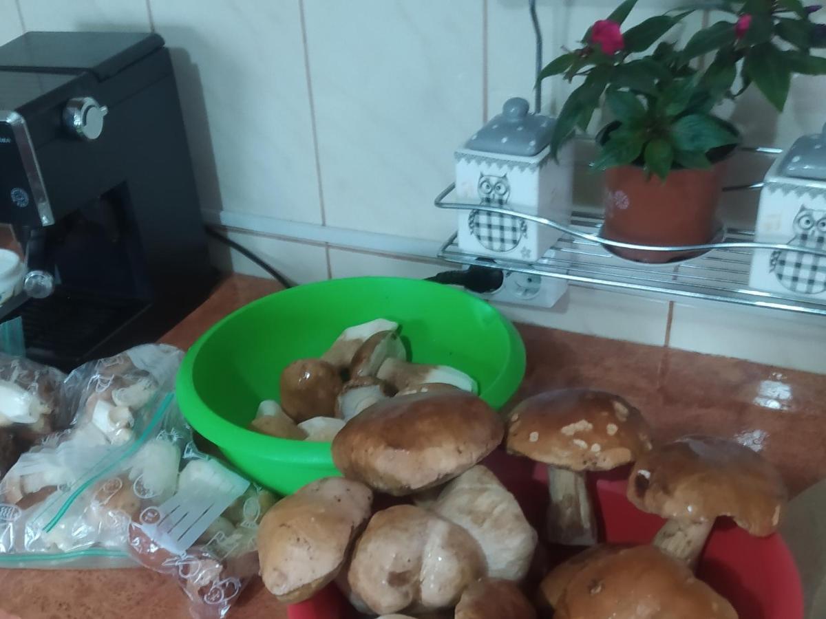 Casa Moldovita Ngoại thất bức ảnh